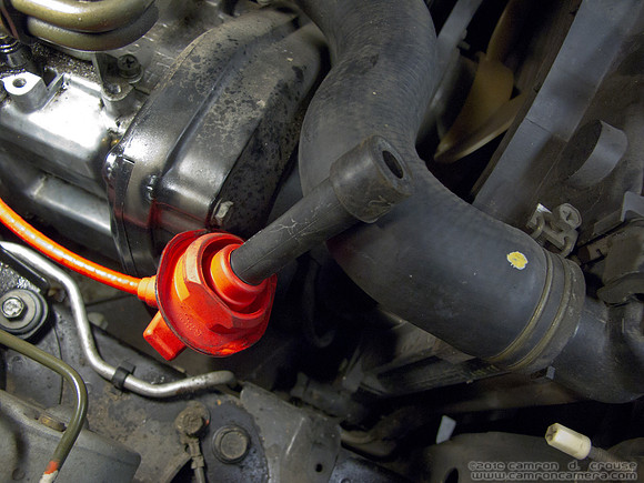 IMG_4993