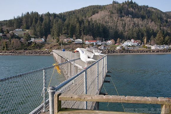 IMG_0315